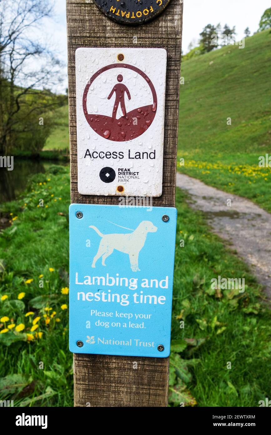 National Trust Zeichen 'Bitte halten Sie Ihren Hund an der Leine während der Nistzeit und Lambing Zeit', Wolfescote Dale, Milldale, Derbyshire, England, VEREINIGTES KÖNIGREICH Stockfoto