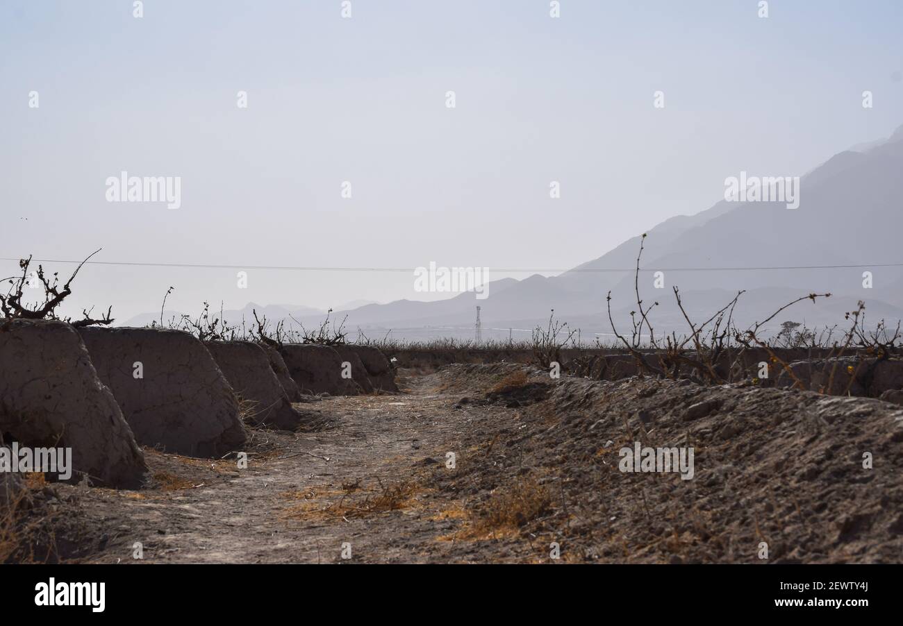 Baum Landschaft Foto Berg Stockfoto