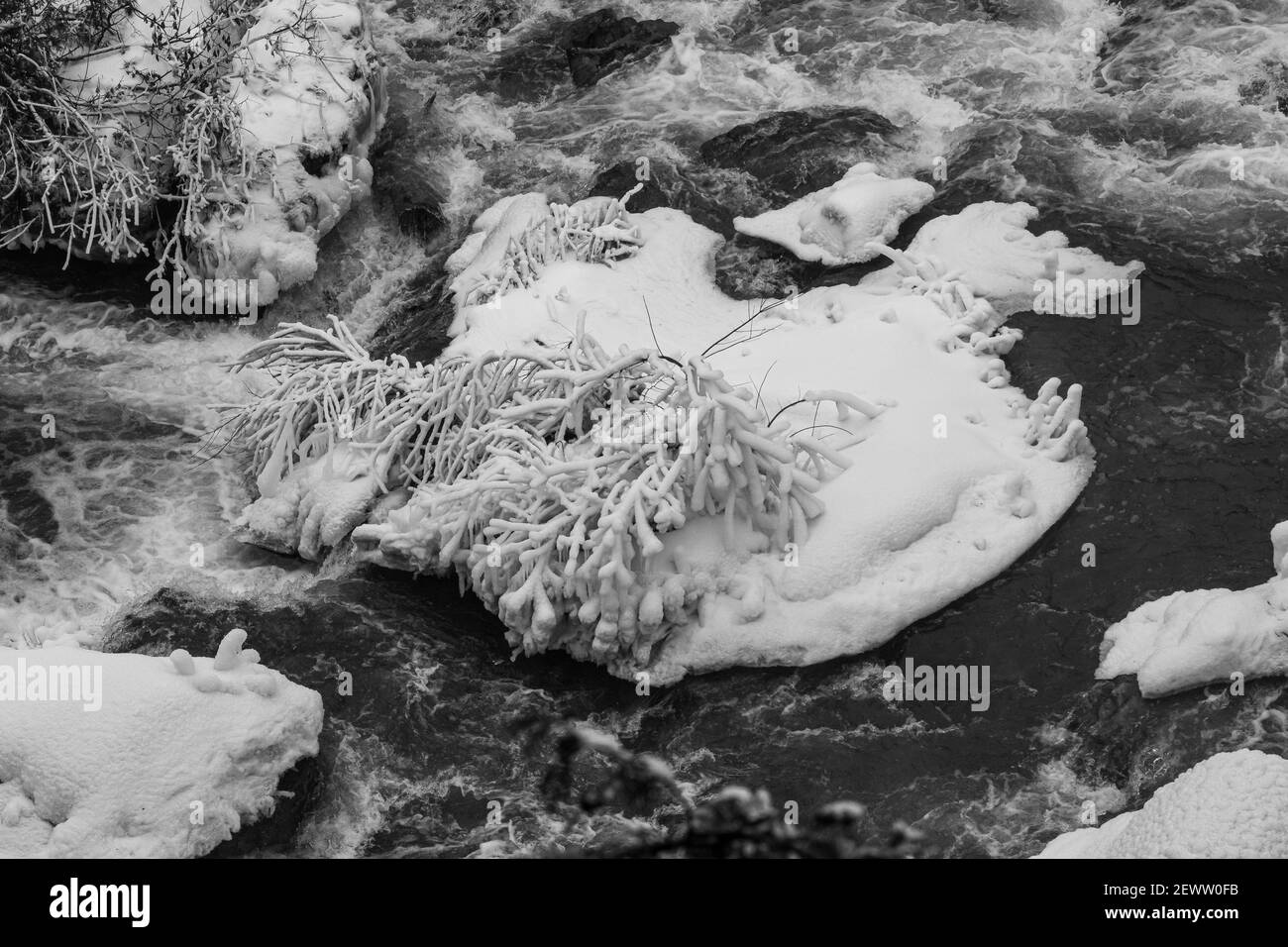 Gray Sauble Conservation Area Niagara Escarpment Owen Sound Ontario Kanada Mit Jones & Inglis Falls im Winter Stockfoto