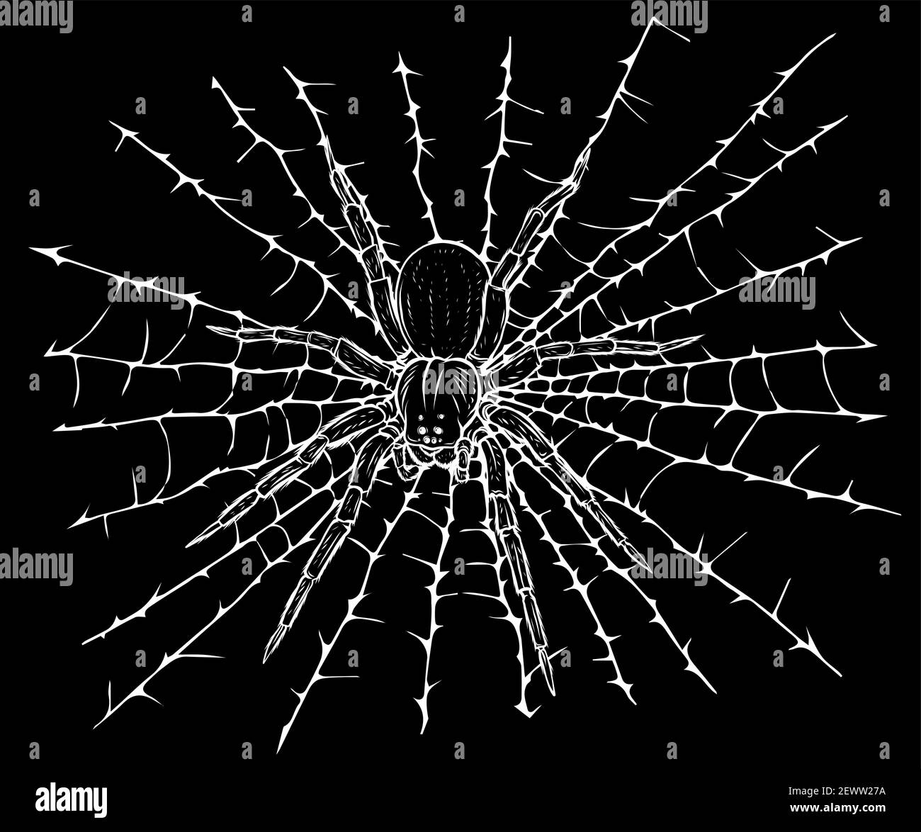 Silhouette Vektor Illustration hängende Spinne auf Web-Thread Stock Vektor