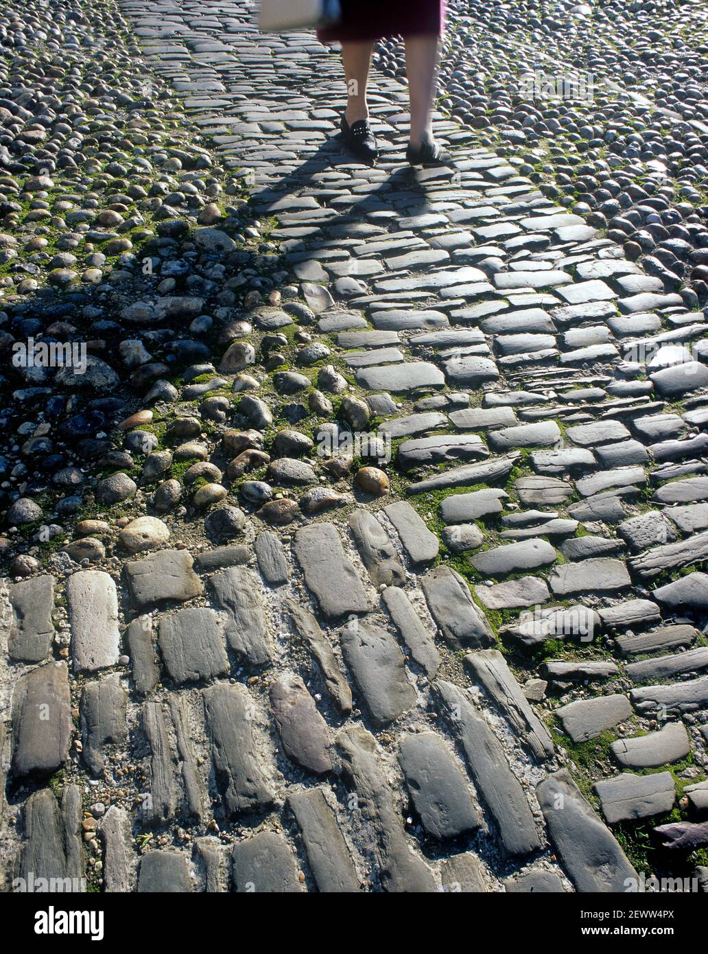 Die Bläschen und Kopfsteinpflaster markieren eine Wanderroute auf einer Seitenstraße in Rye, East Sussex. Stockfoto