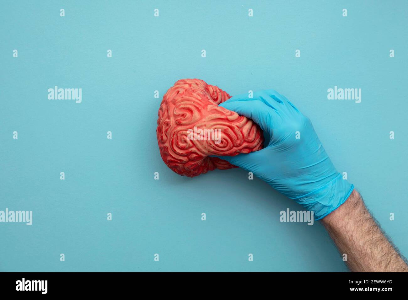 Ein Arzt in blauen Handschuhen drückt ein Gehirn. Konzept der psychischen Gesundheit Stockfoto