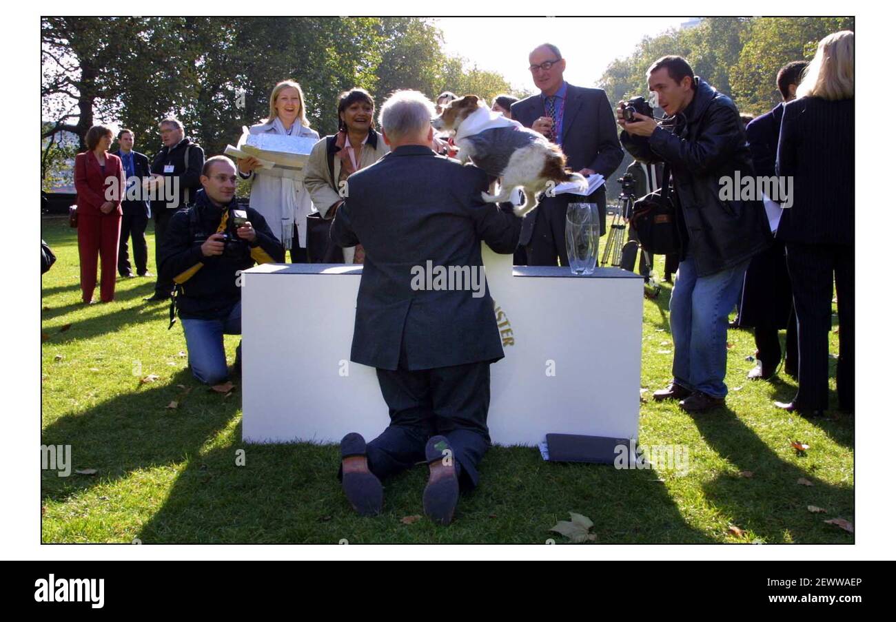 Der Westminster Dog of the Year Wettbewerb ist offen für Hunde aus beiden Häusern und wird gemeinsam von der National Defence League und dem Kennel Club durchgeführt. Die comp. Wurde von Bippy der Bube Russel Terrier von Lord William von Mostyn, Leiter des Hauses der Lords im Besitz gewonnen.pic David Sandison 17/10/2002 Stockfoto