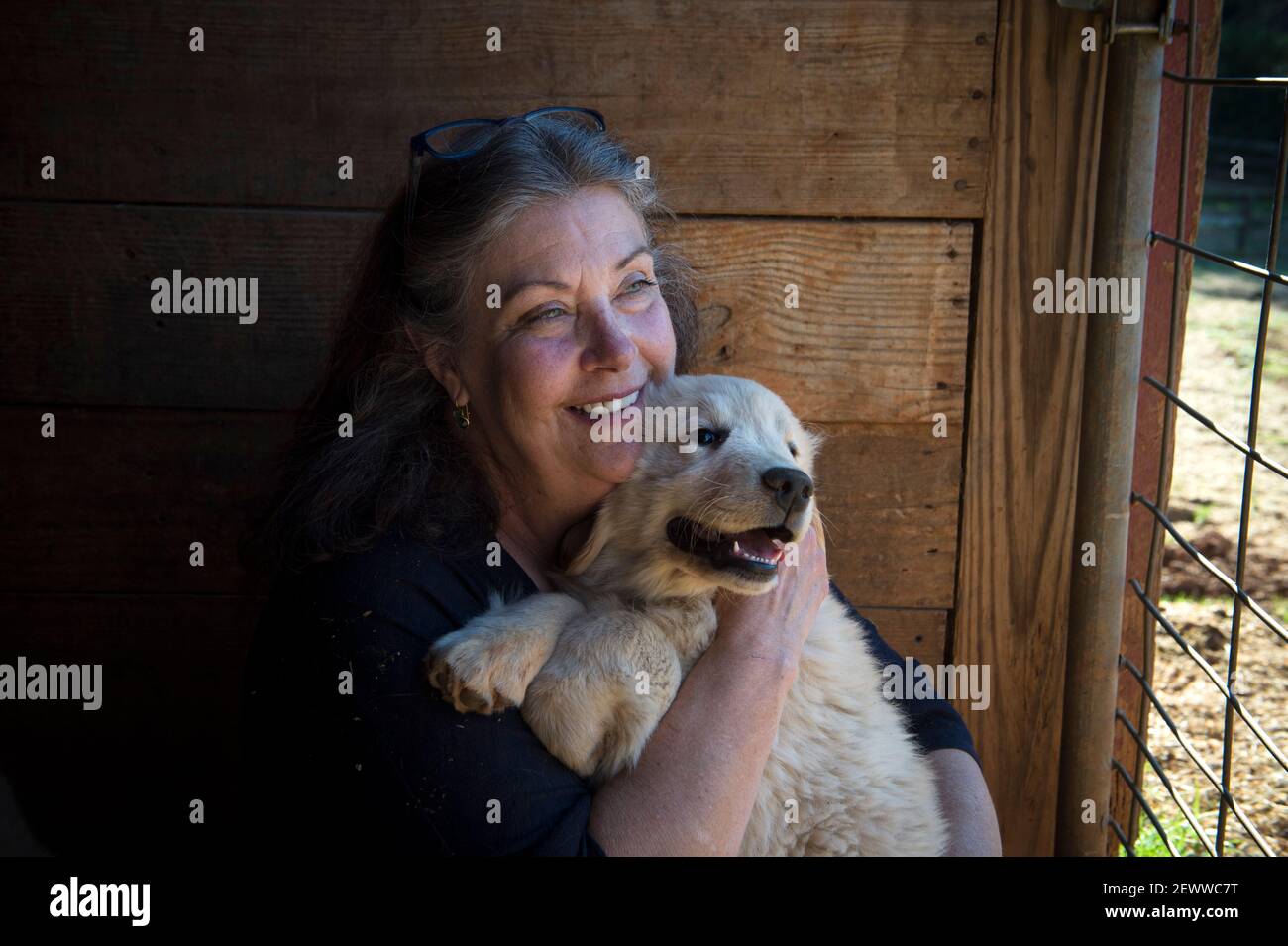 Milton, GA, USA. März 2021, 3rd. Die Gründerin von Canine, Jennifer Arnold, kuschelt sich Mayberry, ein 12 Wochen alter Golden Retriever Welpe, auf ihrer Trainingsfarm in Nord-Georgia AssistantsÃ. "Welpen entwickeln Vertrauen in die Menschen und Vertrauen in sich selbst als Teil unseres Bildungsprotokolls bekannt als Bond-basierte Ansatz", sagte sie. Diese Zukunft Medical Alert Hunde begann die 18-24 Monate Bildungsprozess bei 5 Wochen Alter. Kredit: ZUMA Press, Inc./Alamy Live Nachrichten Stockfoto