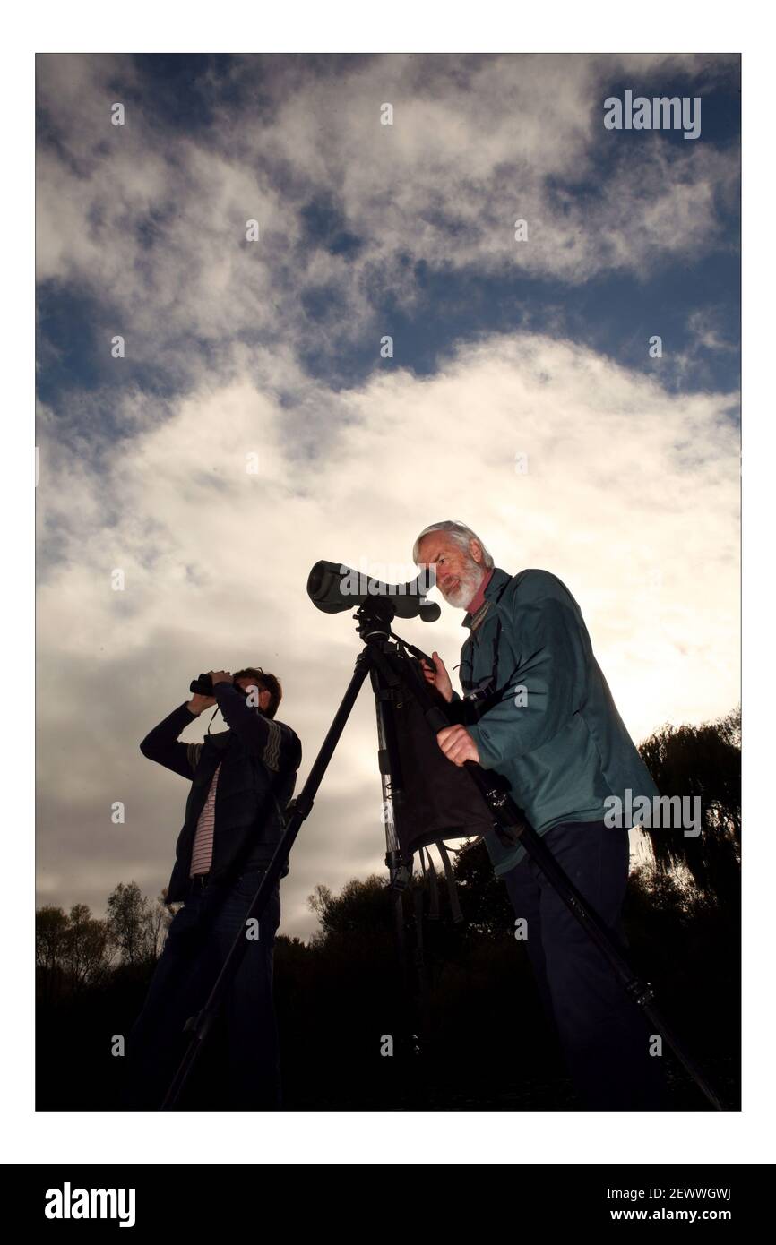 VOGELATLAS Abberton Reservoir. Dr. Simon Cox beobachtet Vögel im Abberton Reservoir. Vogel-Enthusiasten in ganz Großbritannien werden gebeten, an der landesweiten Umfrage Zählung UK Vögel über einen Zeitraum von vier Jahren teilzunehmen. PIC David Sandison Stockfoto