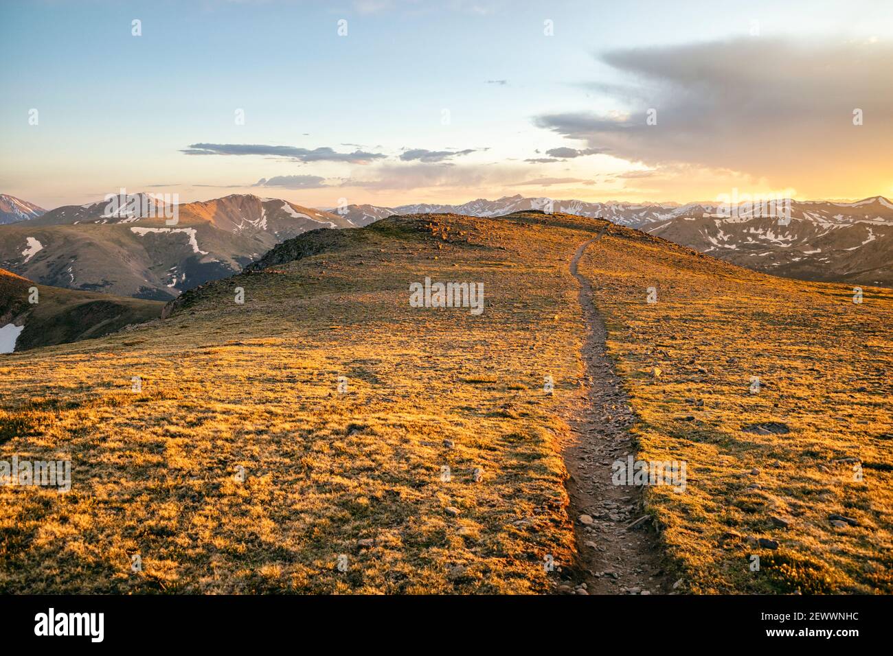 Wanderweg in der Front Range, Colorado Stockfoto