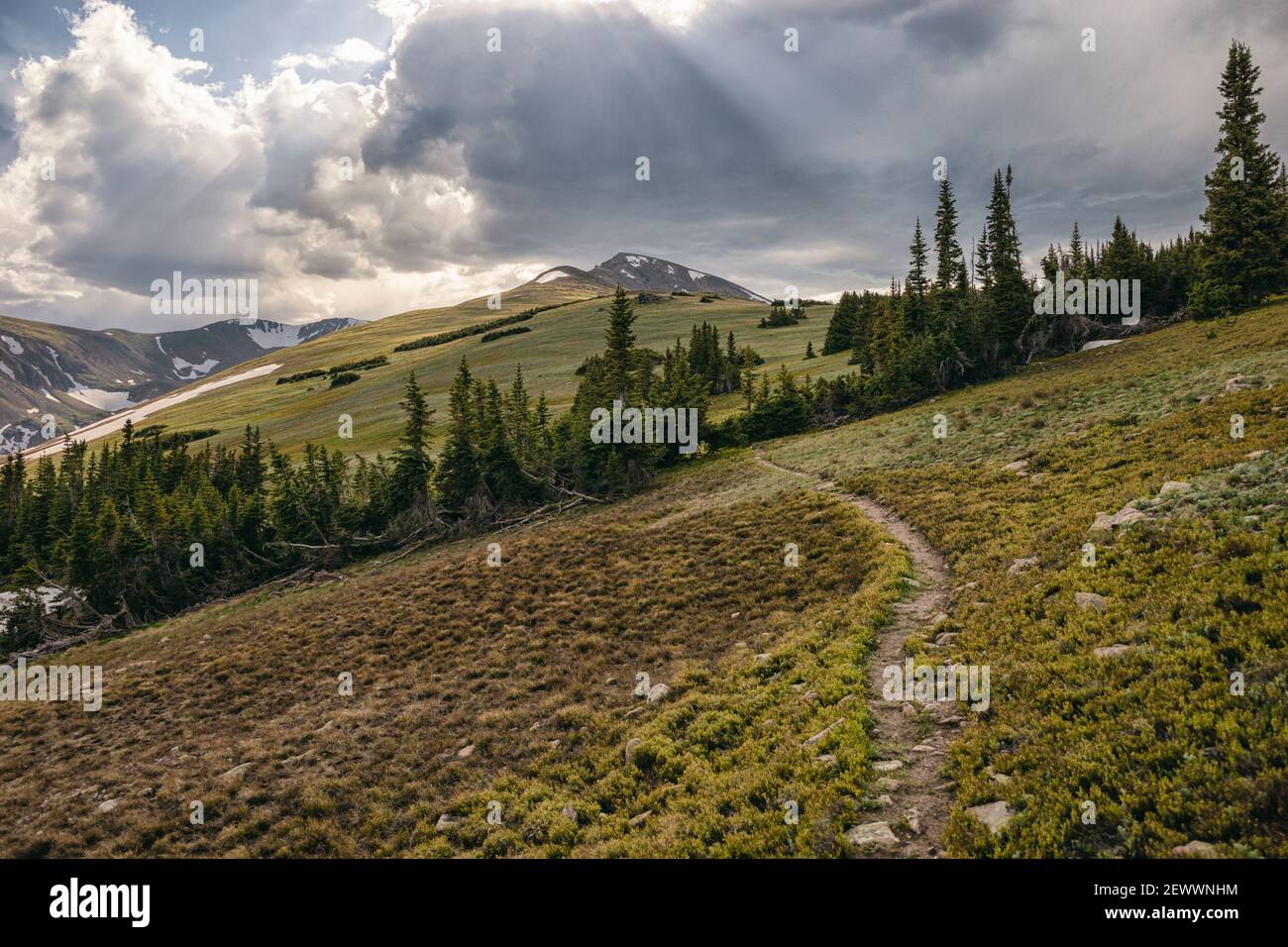 Abendlandschaft in der James Peak Wilderness, Colorado Stockfoto