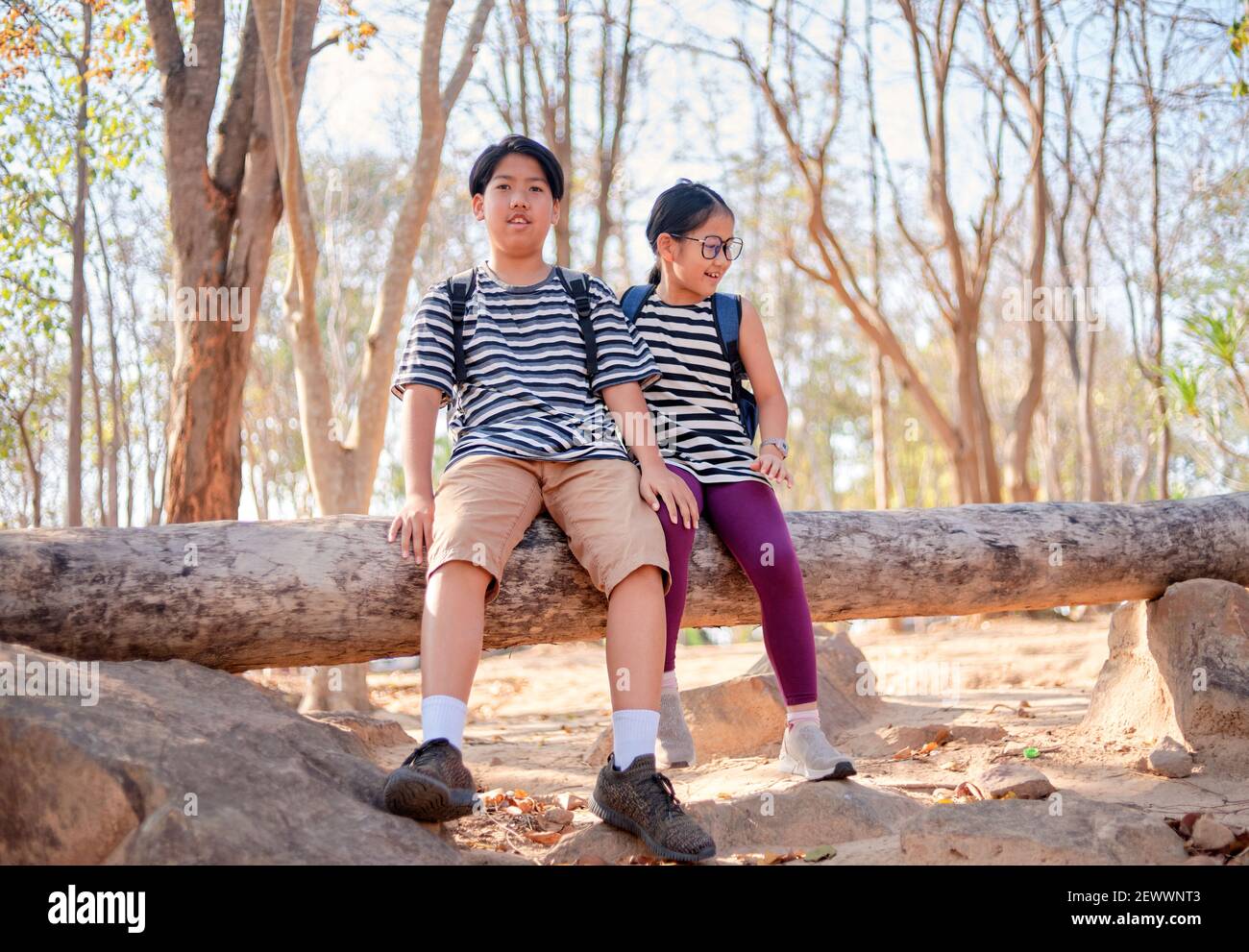 Bruder und Schwester sitzen auf Holz im Naturpark Stockfoto