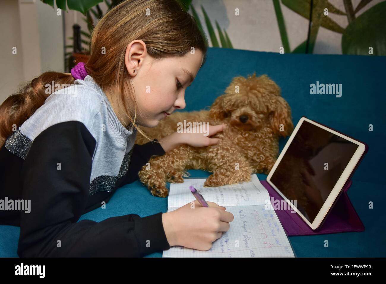 Mädchen mit einem Hund macht Fernunterricht Stockfoto