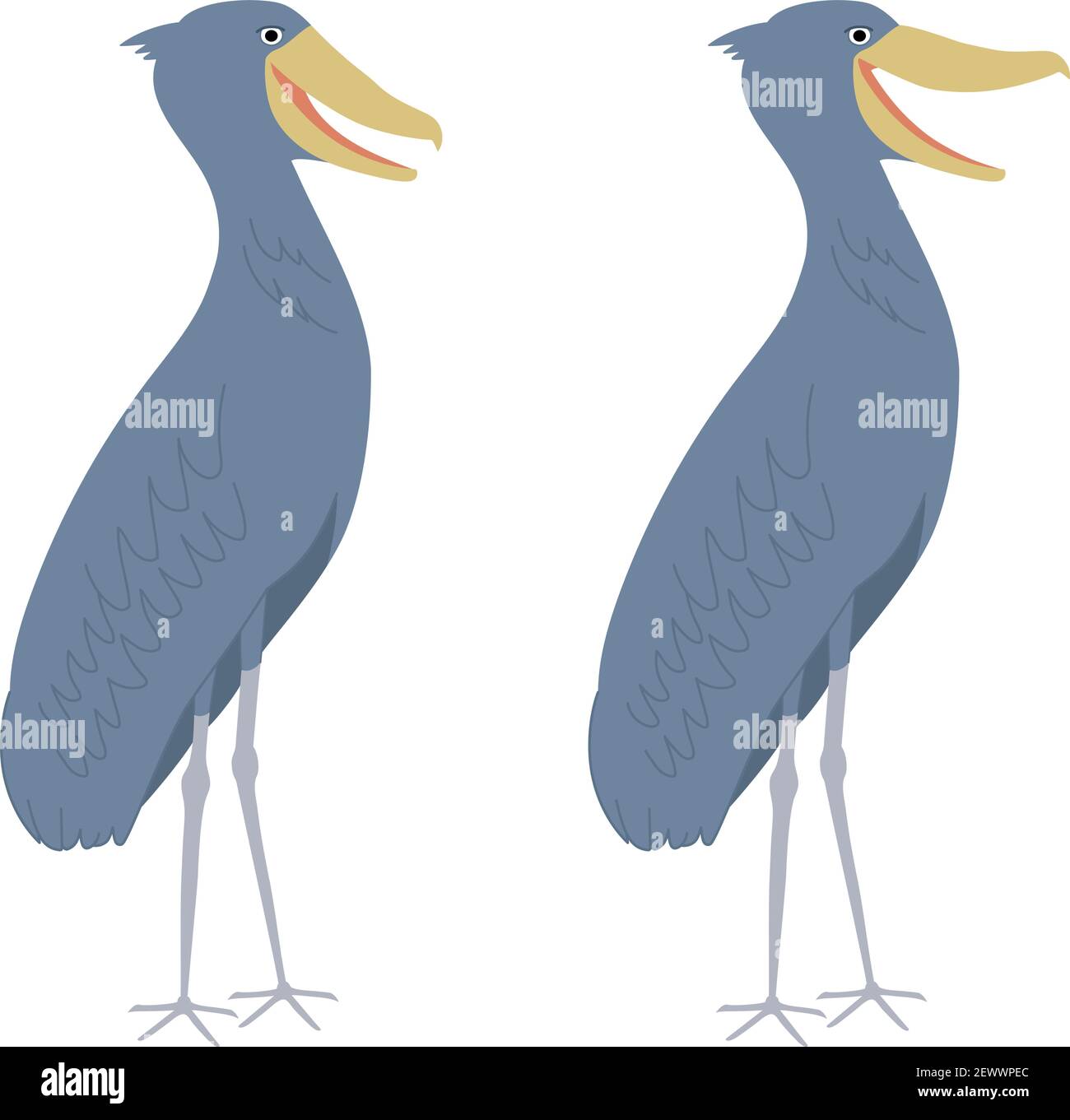 Schuhschnabel auch bekannt als Walkopf, Walkopf-Storch, oder Schuh-billed Storch. Es ist ein sehr großer storchähnlicher Vogel. Stock Vektor