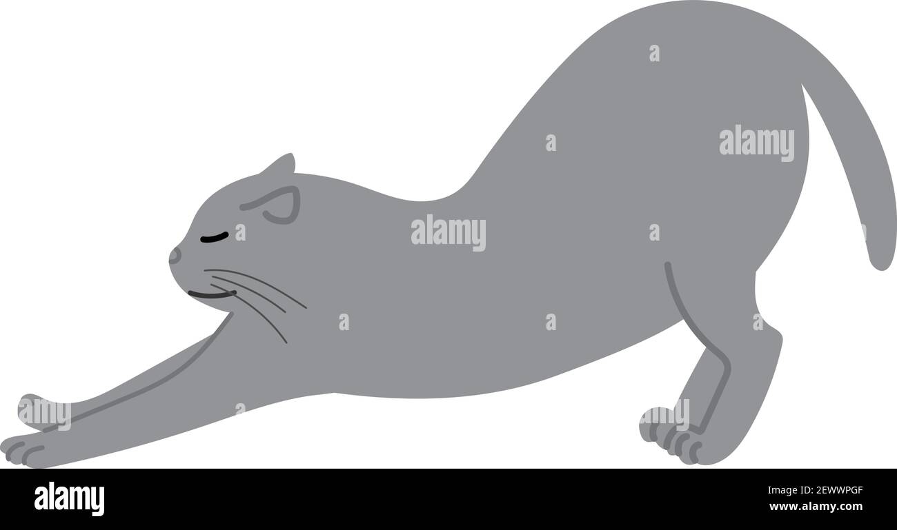 Graue Katze mit einer großen Dehnung. Vektorgrafik isoliert auf weißem Hintergrund. Stock Vektor