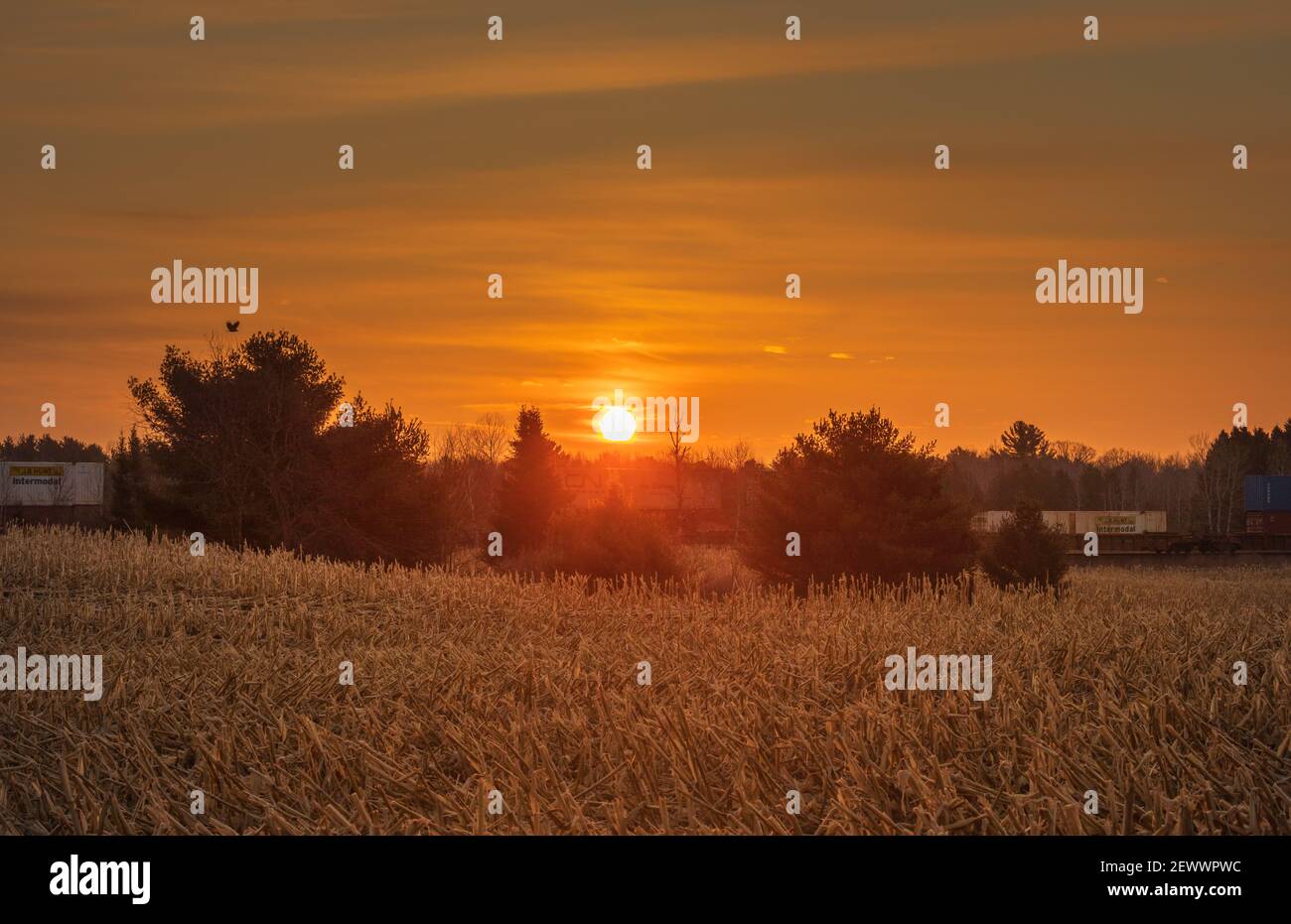 Ein Güterzug am frühen Morgen, der durch eine Bauerngemeinde im Norden von Wisconsin fährt. Stockfoto