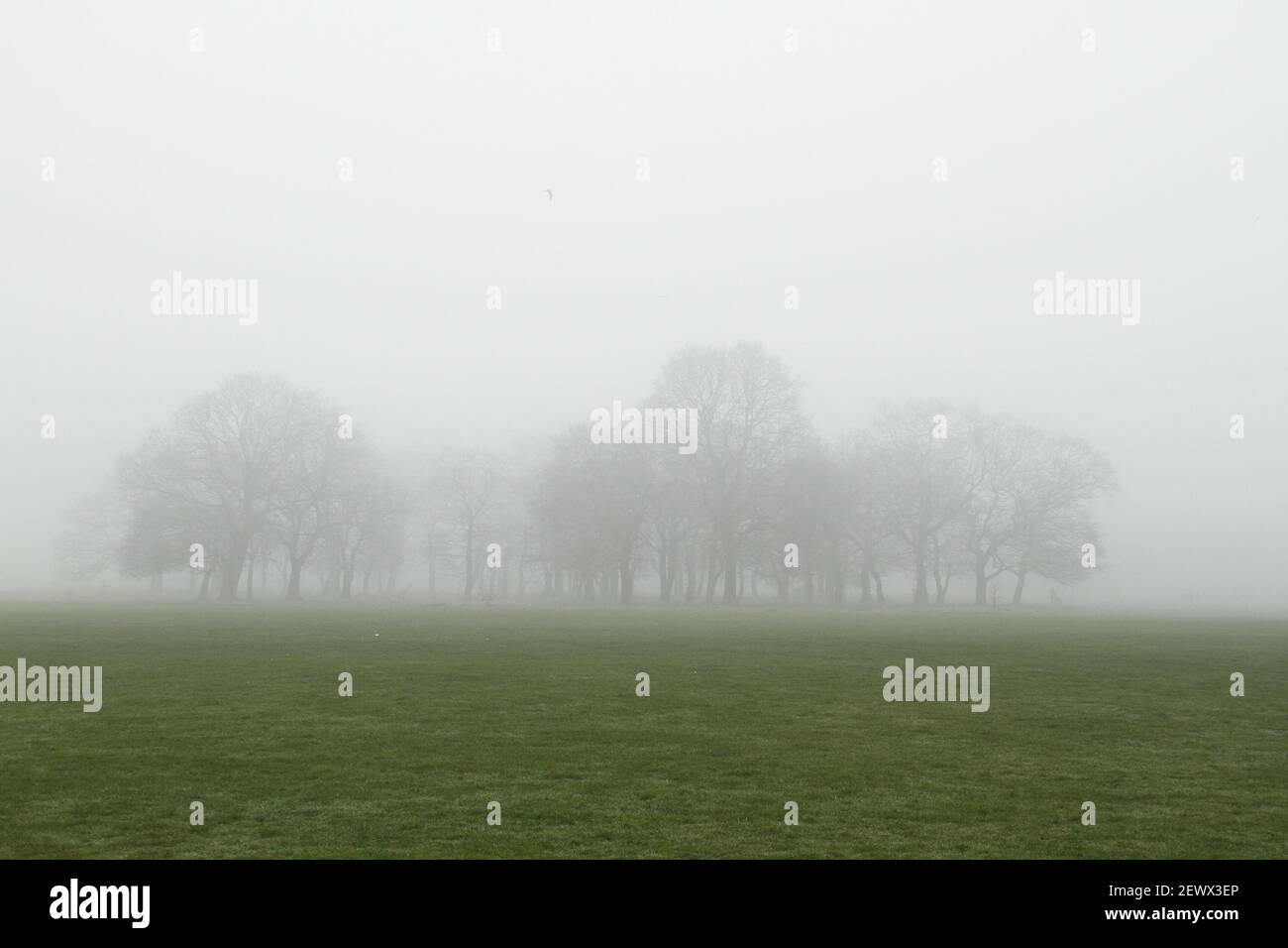 London, Großbritannien. März 2021, 03rd. Der Wanstead Park war fast den ganzen Morgen im Nebel. Der größte Teil Londons wurde in Nebelflecken verhüllt, die Temperaturen waren auf 2 Grad reduziert. Die frostigen Nächte und die schlechte Sicht werden voraussichtlich noch eine Woche bleiben. Kredit: SOPA Images Limited/Alamy Live Nachrichten Stockfoto