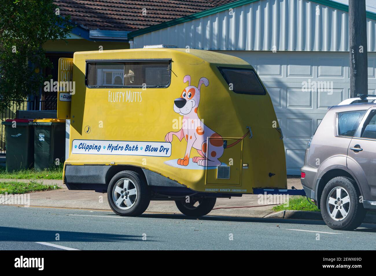 Mobile Dog Grooming Services, Beachmere, Queensland, QLD, Australien Stockfoto
