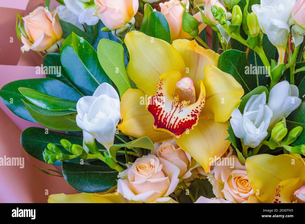 Frisches Bouquet in Pastelltönen von rosa, weiß, grün, gelb. Homogener rosa, blauer Hintergrund. Zartes Bouquet für eine Frau. Stockfoto