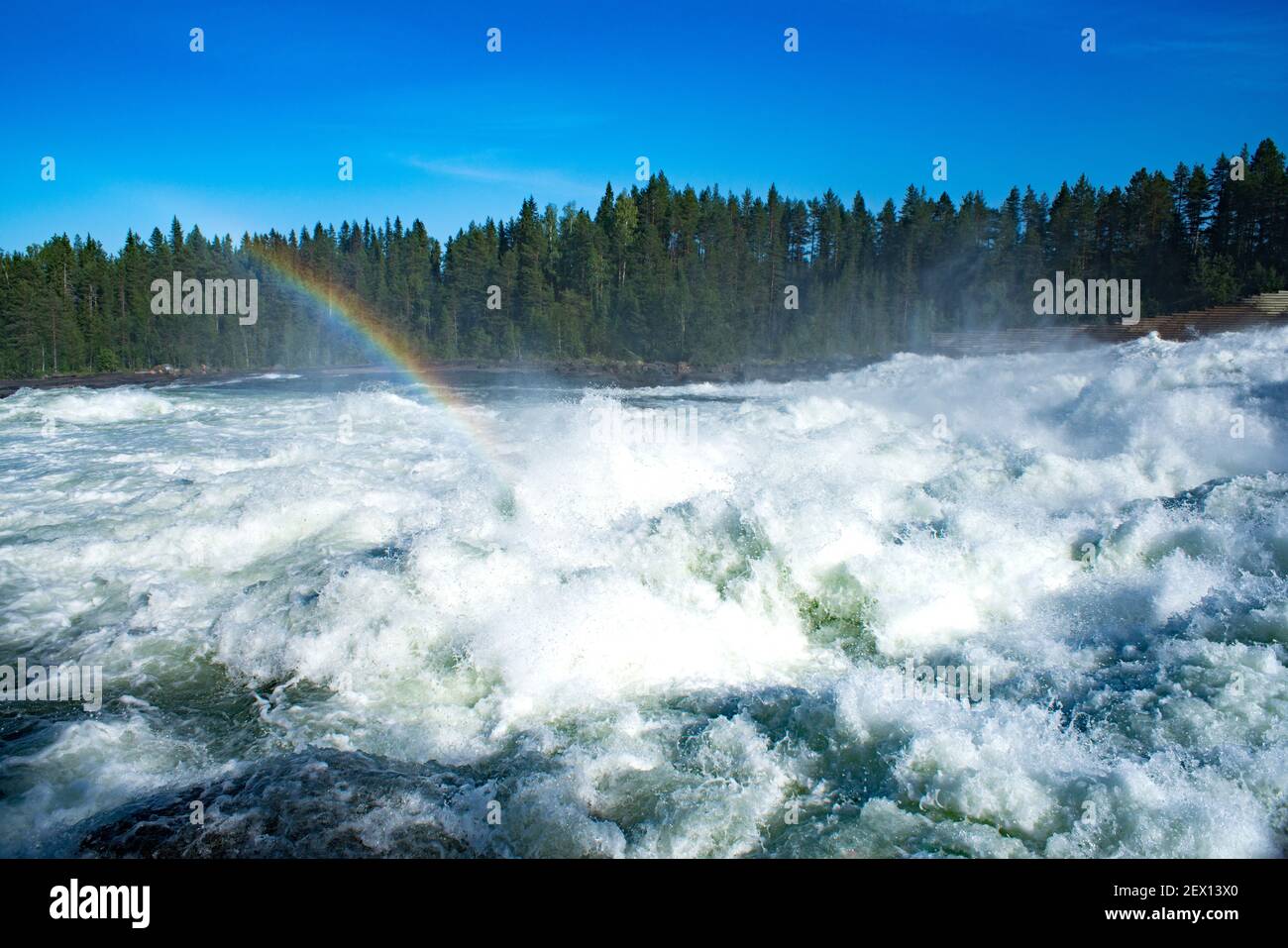 Naturschutzgebiet Storforsen River an sonnigen Sommertagen im schwedischen lappland Stockfoto