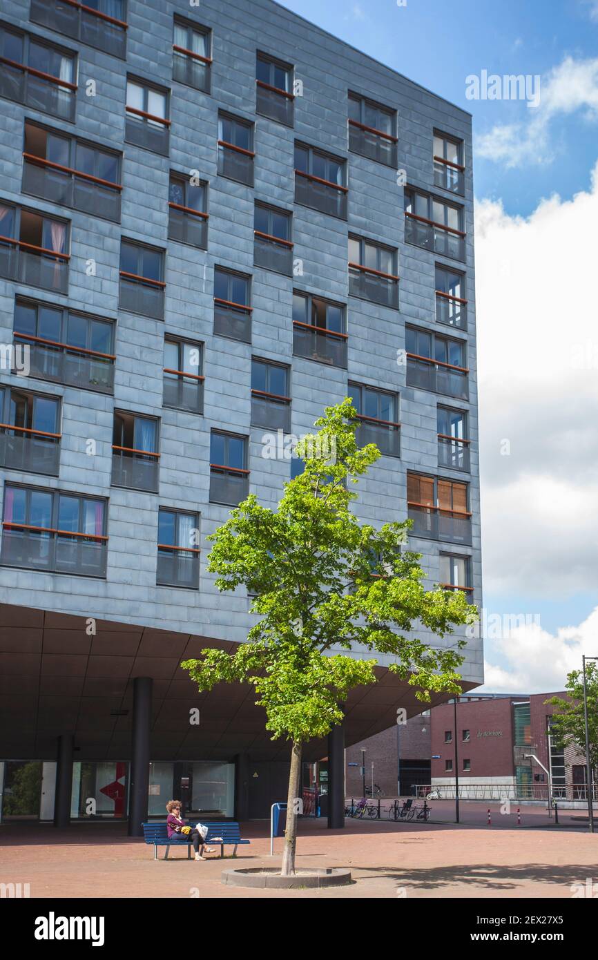 The Whale (aka Sphinx), modernes Appartementhaus, Architekt: Frits van Dongen, B.G.A Tindalstraat, Eastern Harbour, Docklands, Amsterdam, Niederlande Stockfoto