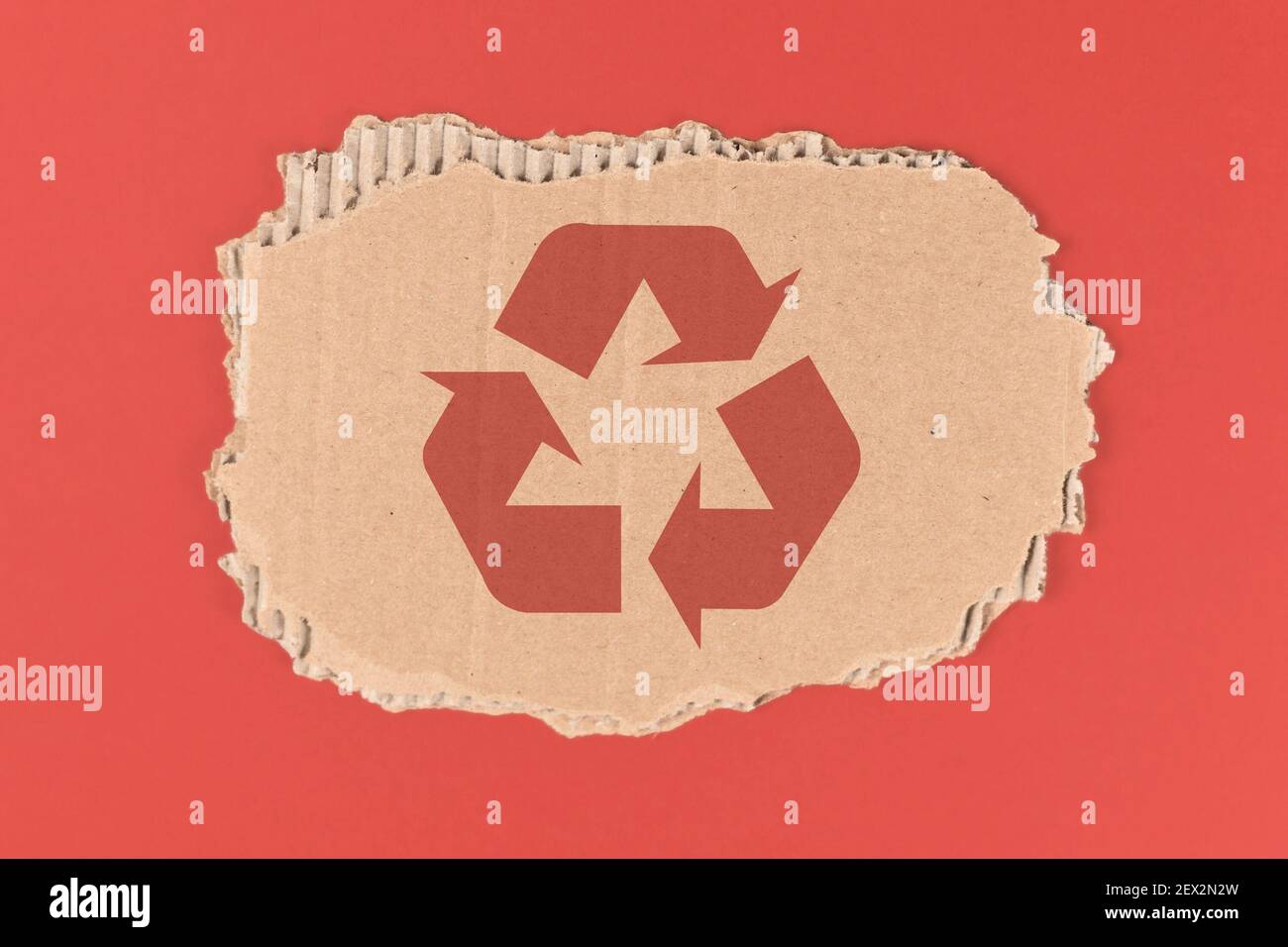 Roter Recycling-Pfeil Symbol auf Stück Karton Stockfoto