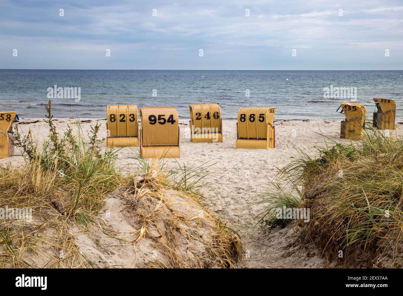 Strandstühle mit Kapuze an der Ostsee hinter Dune Grass, Deutschland, Europa Stockfoto