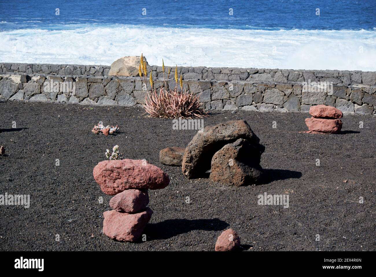 Felsen und Kaktuspflanzen wachsen in einem Kaktusgarten in Vulkanische Steine in der Nähe des Meeres auf Lanzarote Kanarische Inseln Spanien Stockfoto