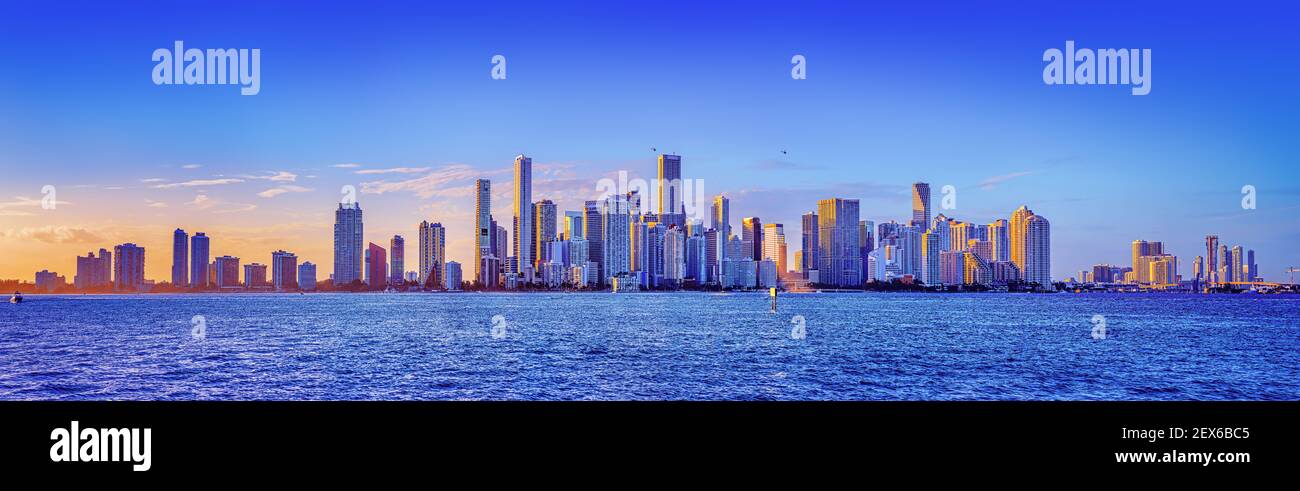 Panoramablick auf die Skyline von miami Stockfoto