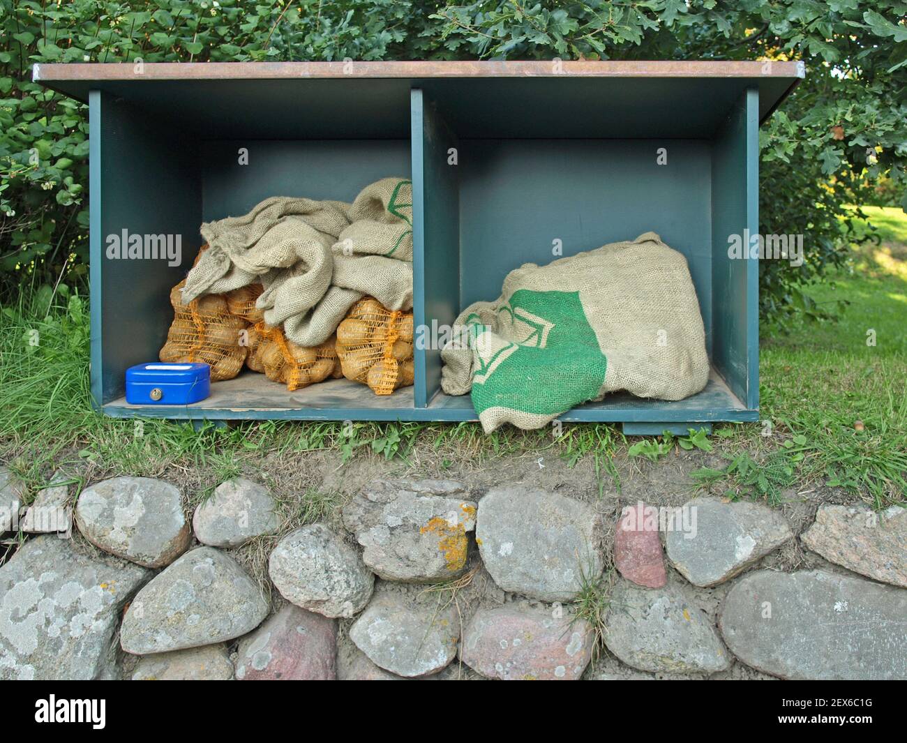 Sylt Potatoes, Deutschland Stockfoto