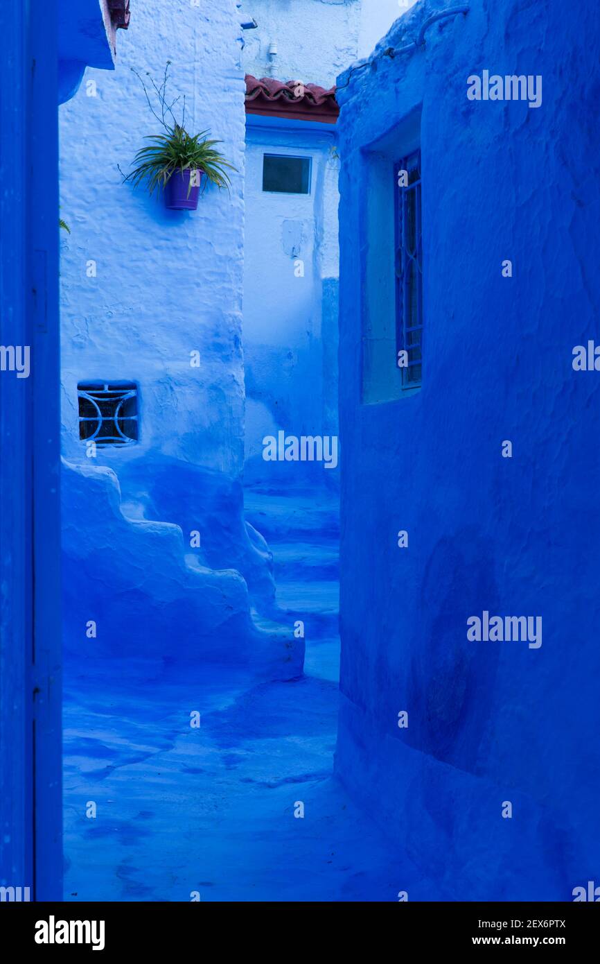 Marokko, Chefchaouen, 'die blaue Stadt' Architektur von indigoblauen Gebäuden Stockfoto
