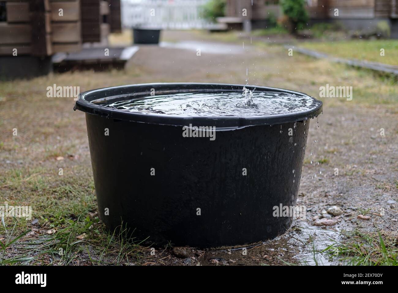Das Regenwasser wird in einem Becken unter der Rinne, im Hof, an einem Sommertag gesammelt. Stockfoto