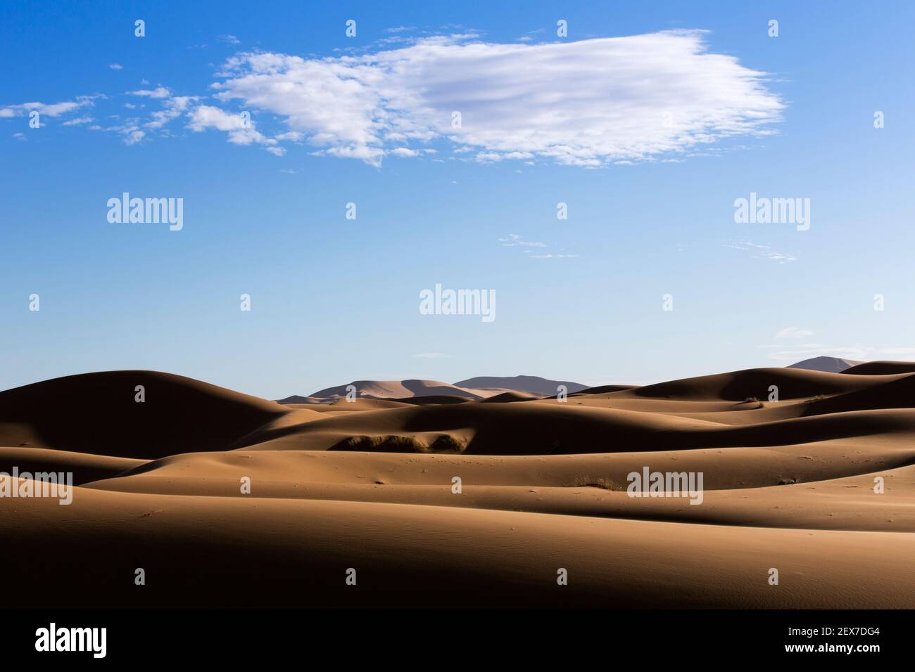 Marokko, Merzouga, die Erg Chebbi Dünen bei Sonnenaufgang erstrecken sich die Wüstendünen 30km und erreichen Höhen von 250 Metern Stockfoto