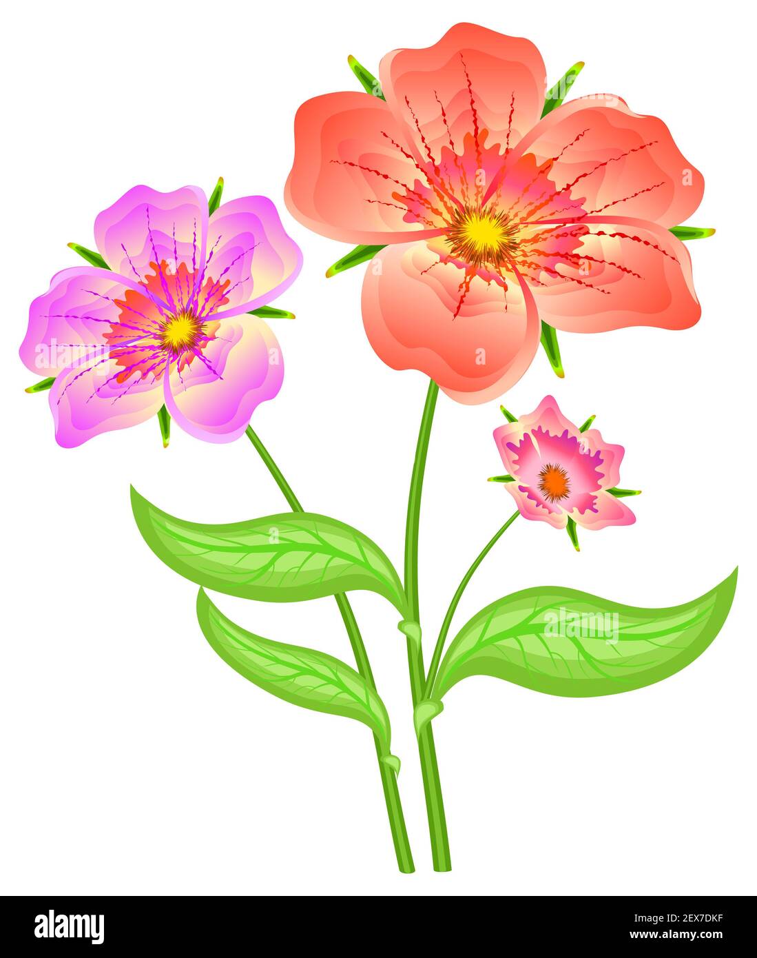 Frühlingsrote Blüten Stockfoto