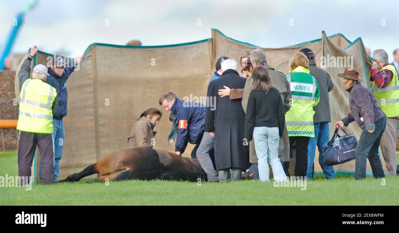 RACING BEI EXETER BEST MATE STIRBT VOR DEM LETZTEN ZAUN 1/11/2005 BILD DAVID ASHDOWN.RACING Stockfoto