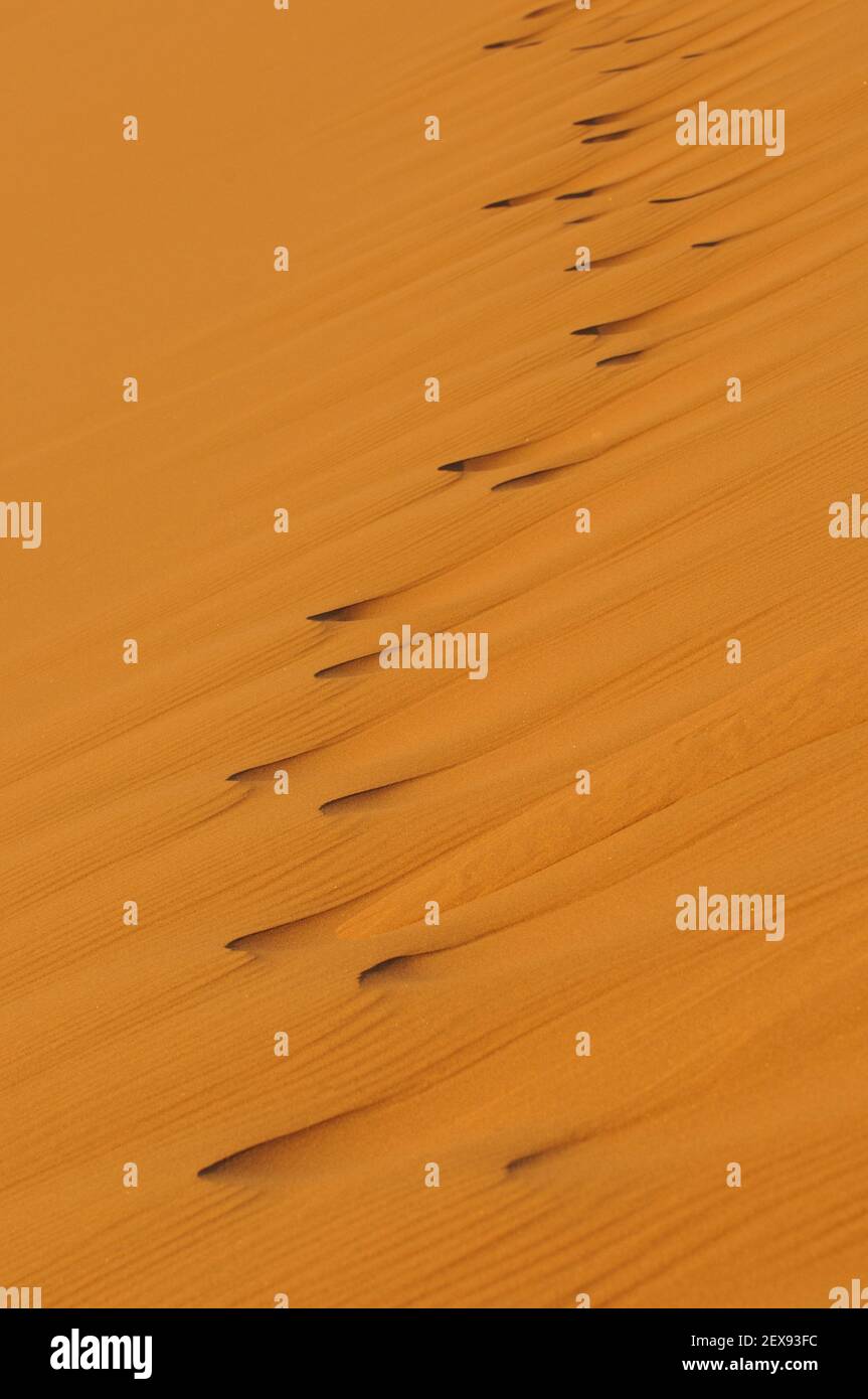 Namib Dünen bei sossusvlei Stockfoto