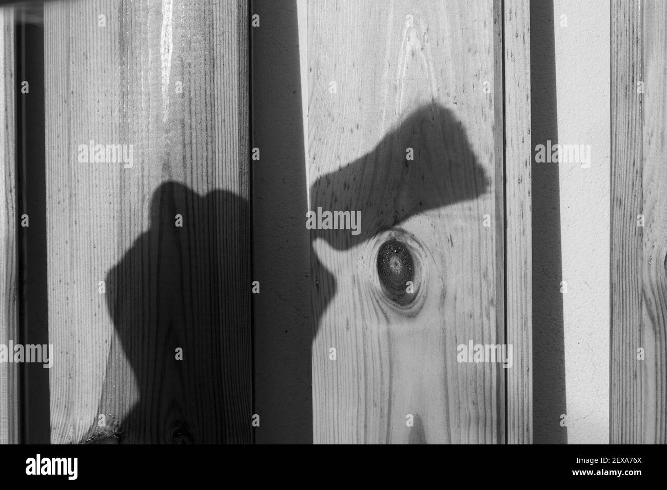 Schatten einer Hand, die einen Pinsel vor sich hält Ein Hintergrund aus Holzplanken Stockfoto