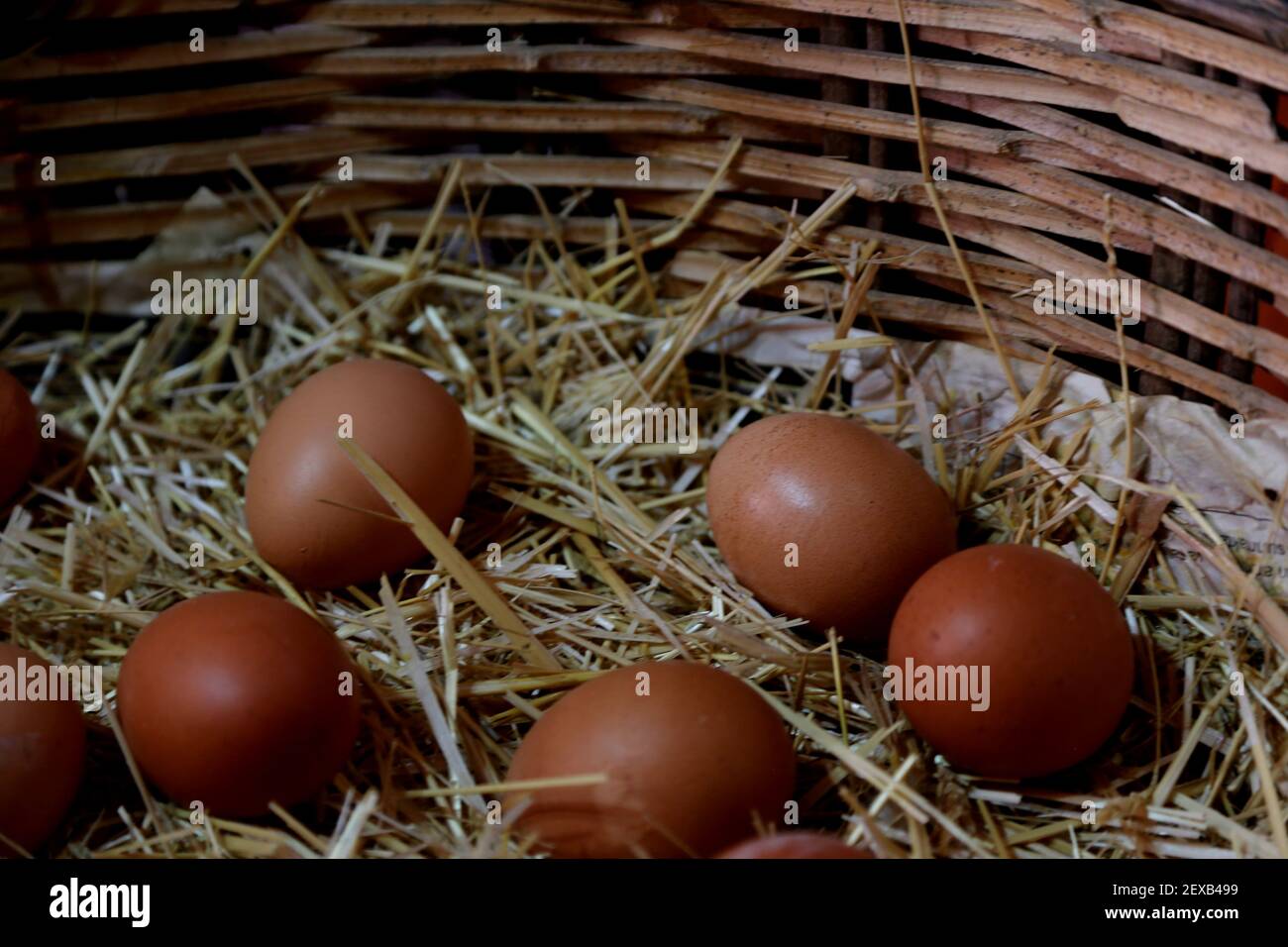 Natürliche Eier sind nahrhaft und schmackhafter Stockfoto