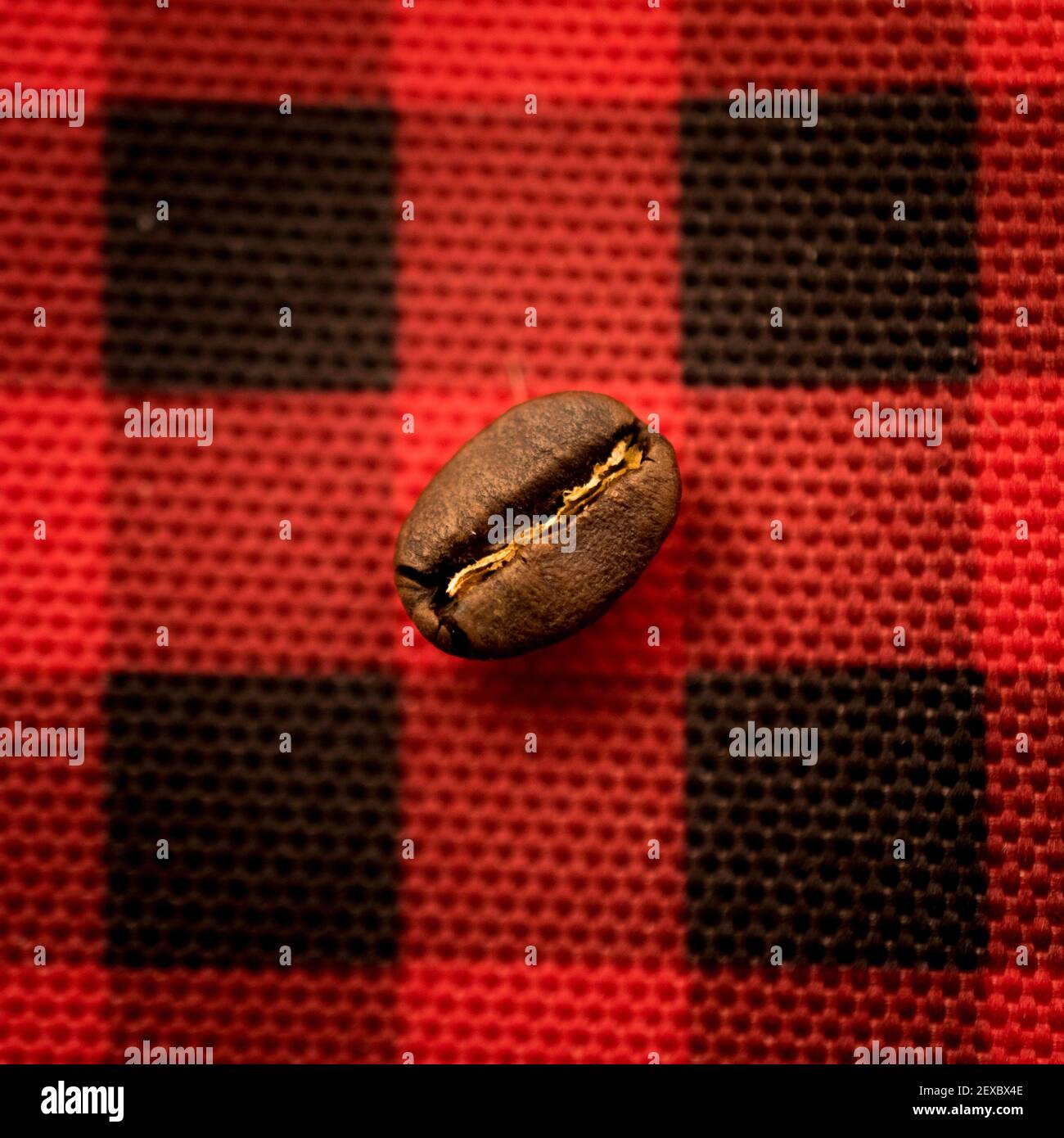 Kaffee Bohnen Stockfoto