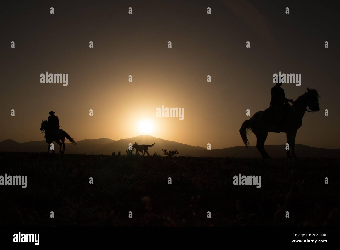 Pferde, Cowboys, Hunde bei Sonnenuntergang, kayseri Stockfoto