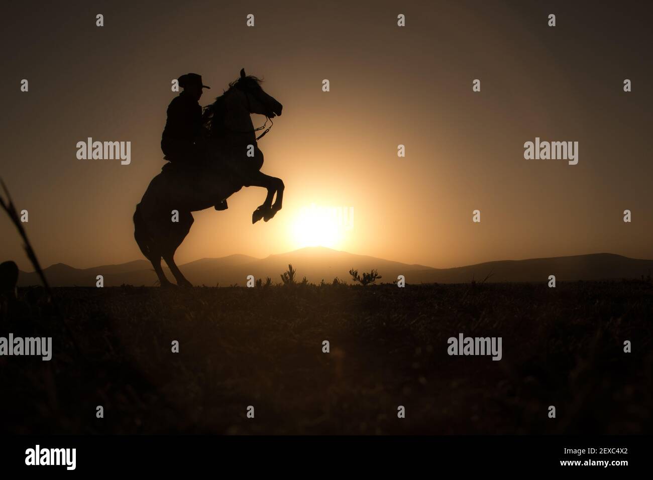Pferd, Cowboy, bei Sonnenuntergang, kayseri, türkei Stockfoto
