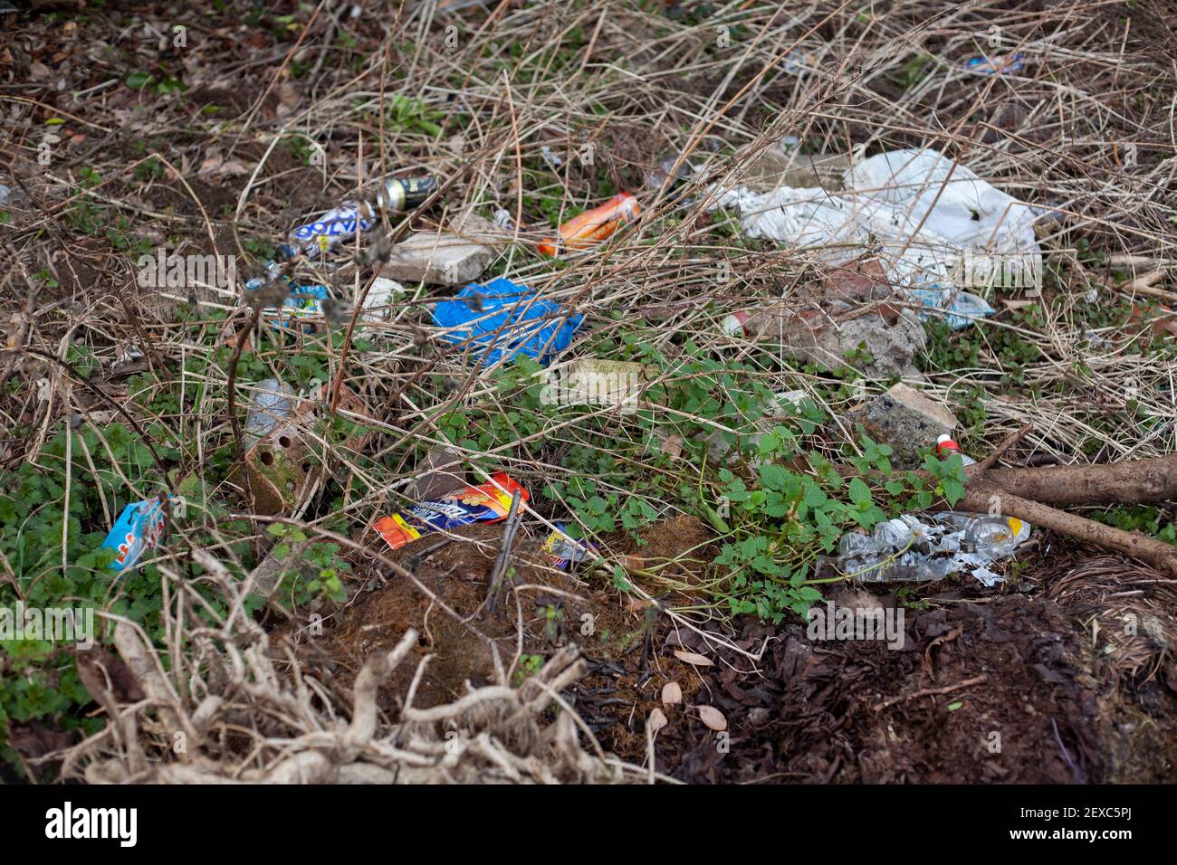 Fliegen kippte Müll und Hausmüll illegal auf den Rand der lokalen Wald deponiert.EIN häufiger Anblick in benachteiligten Gebieten des Vereinigten Königreichs. Stockfoto