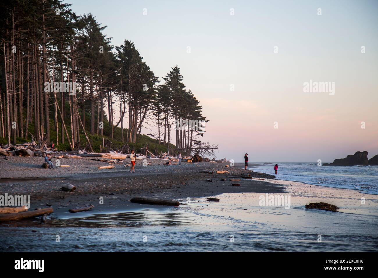 Ein Highlight des Olympic National Park ist Ruby Beach. Touristen genießen die zerklüftete Küste und das kalte Wasser. Stockfoto