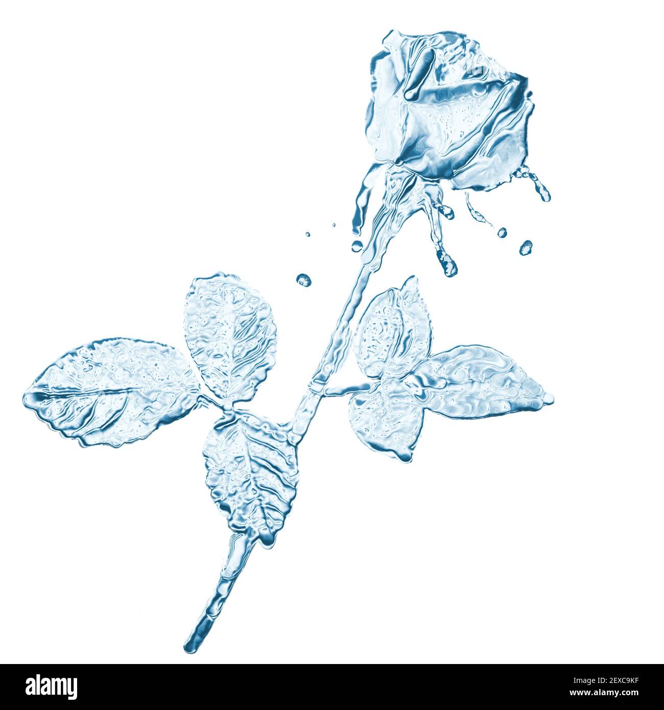 Wasserblume spritzt isoliert auf weiß Stockfoto