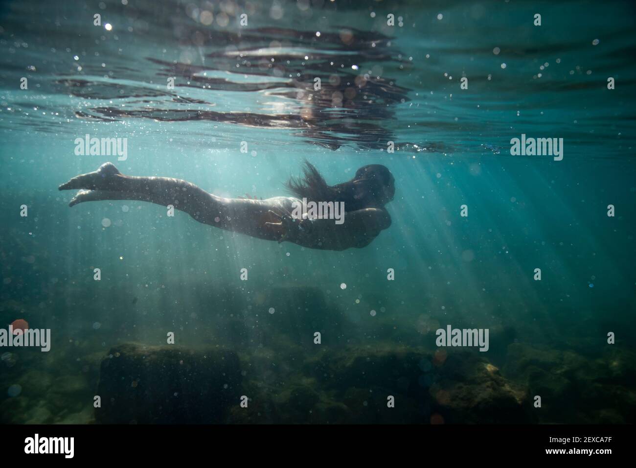 Weibchen schwimmt durch Sonnenstreifen im seichten Wasser weg Stockfoto