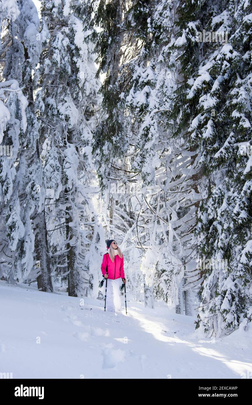 Junge Frau beim Wandern in den Bergen, im Winter Stockfoto