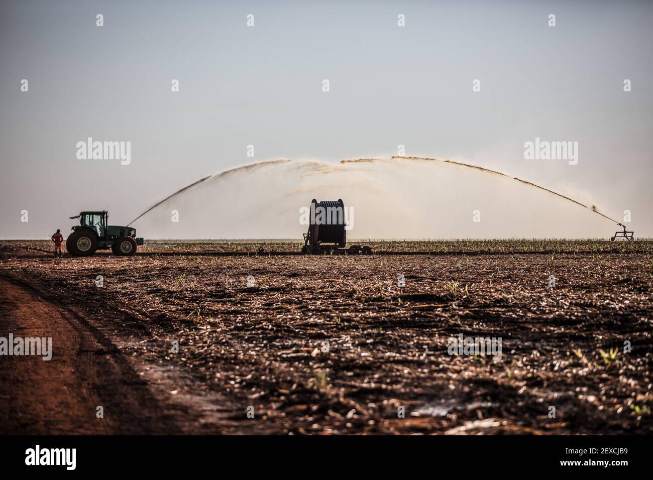 Bewässerung von Zuckerrohr als Teil der Biokraftstoffproduktion in Brasilien Stockfoto