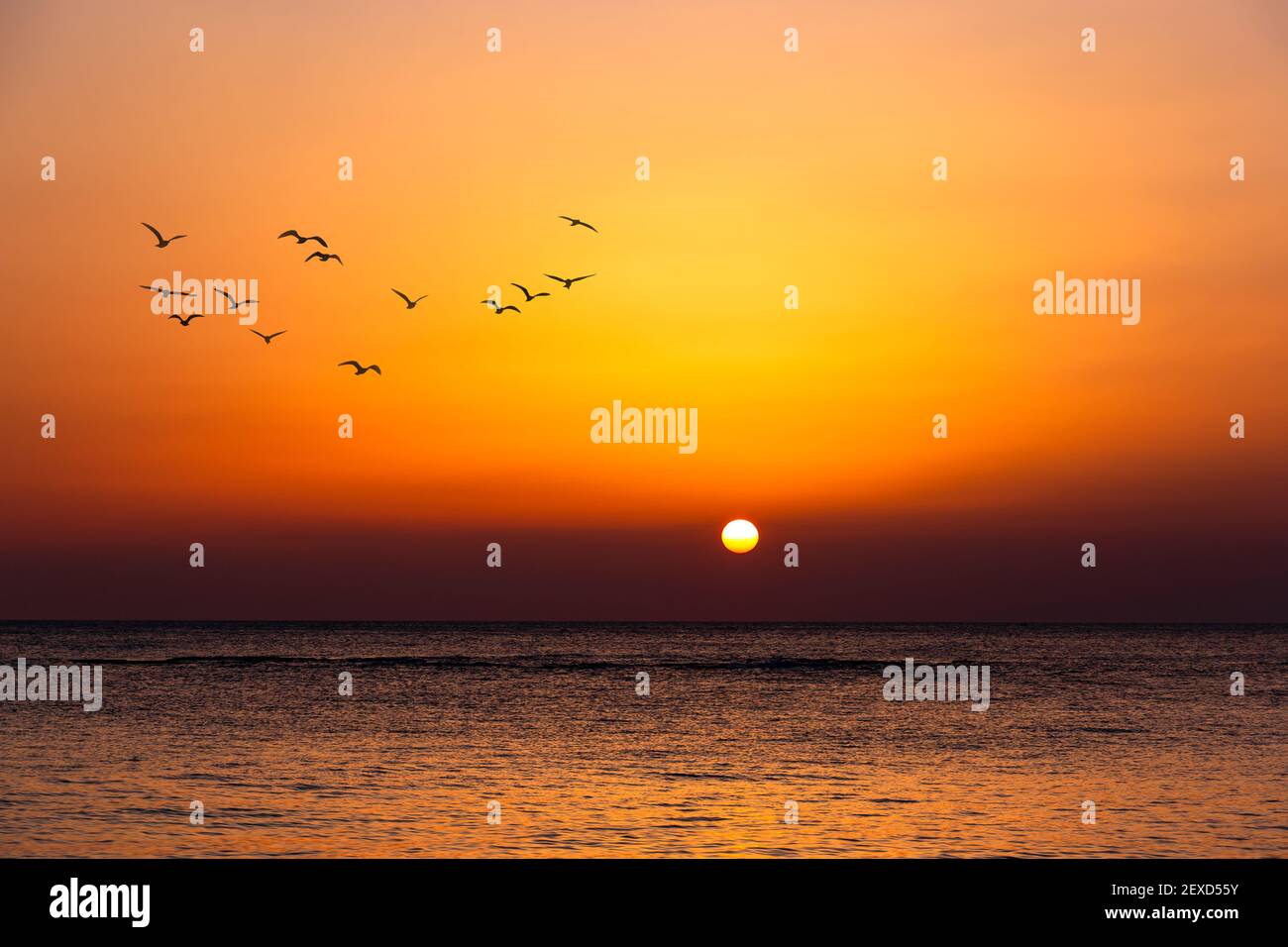 Heller Sonnenuntergang mit einer großen gelben Sonne unter der Meeresoberfläche. Stockfoto