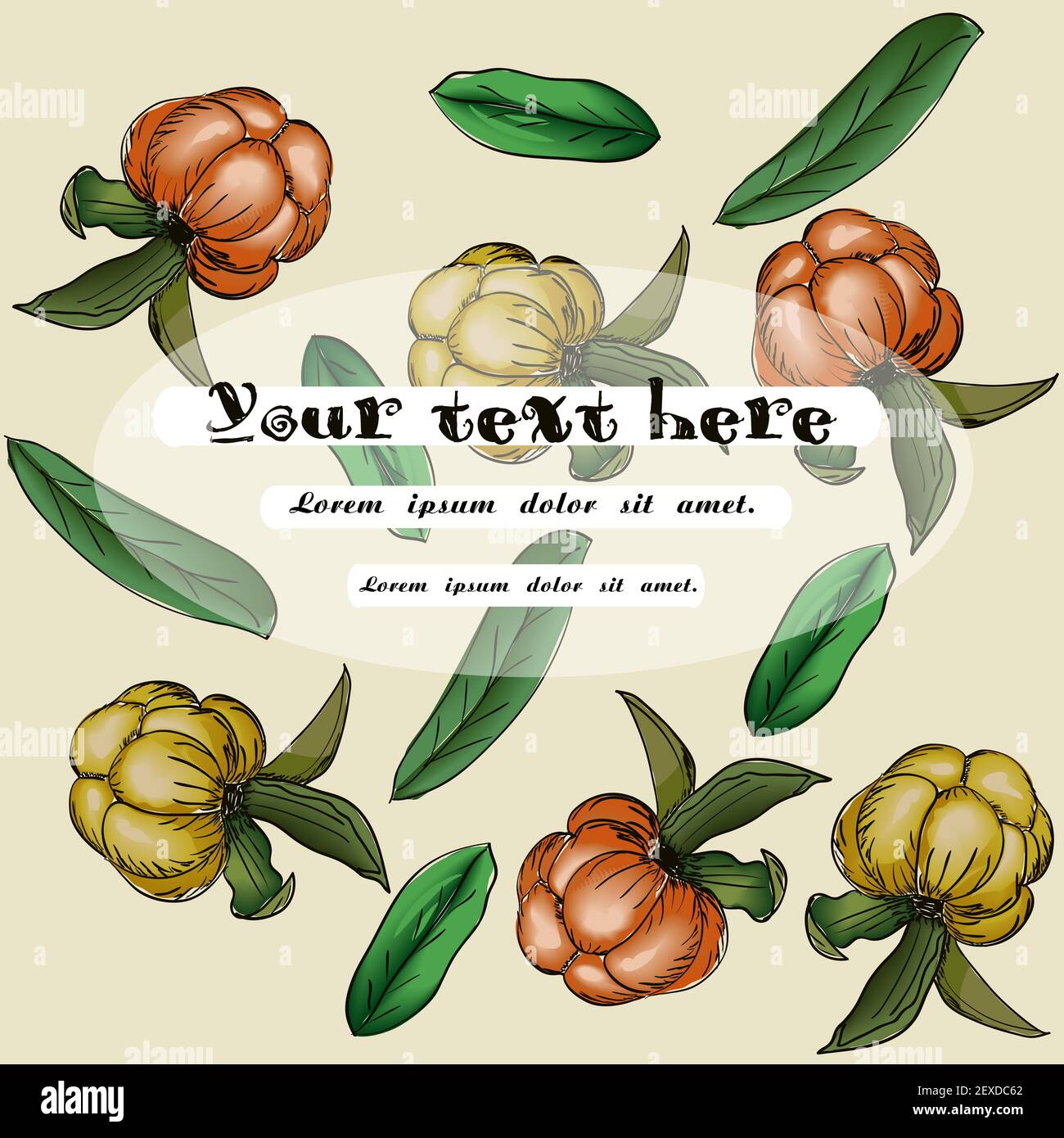 Vektor-Karte mit Beeren Stockfoto