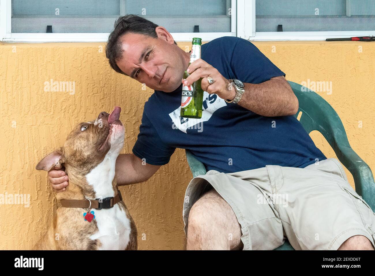 Hispanischer Mann trinkt ein Bier von seinem Hund Stockfoto