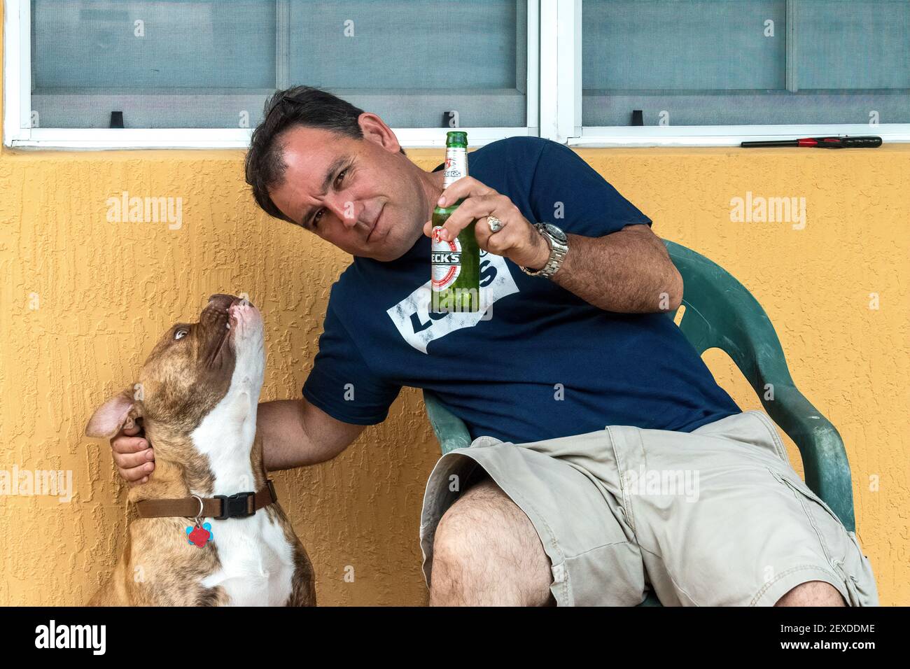 Hispanischer Mann trinkt ein Bier von seinem Hund Stockfoto