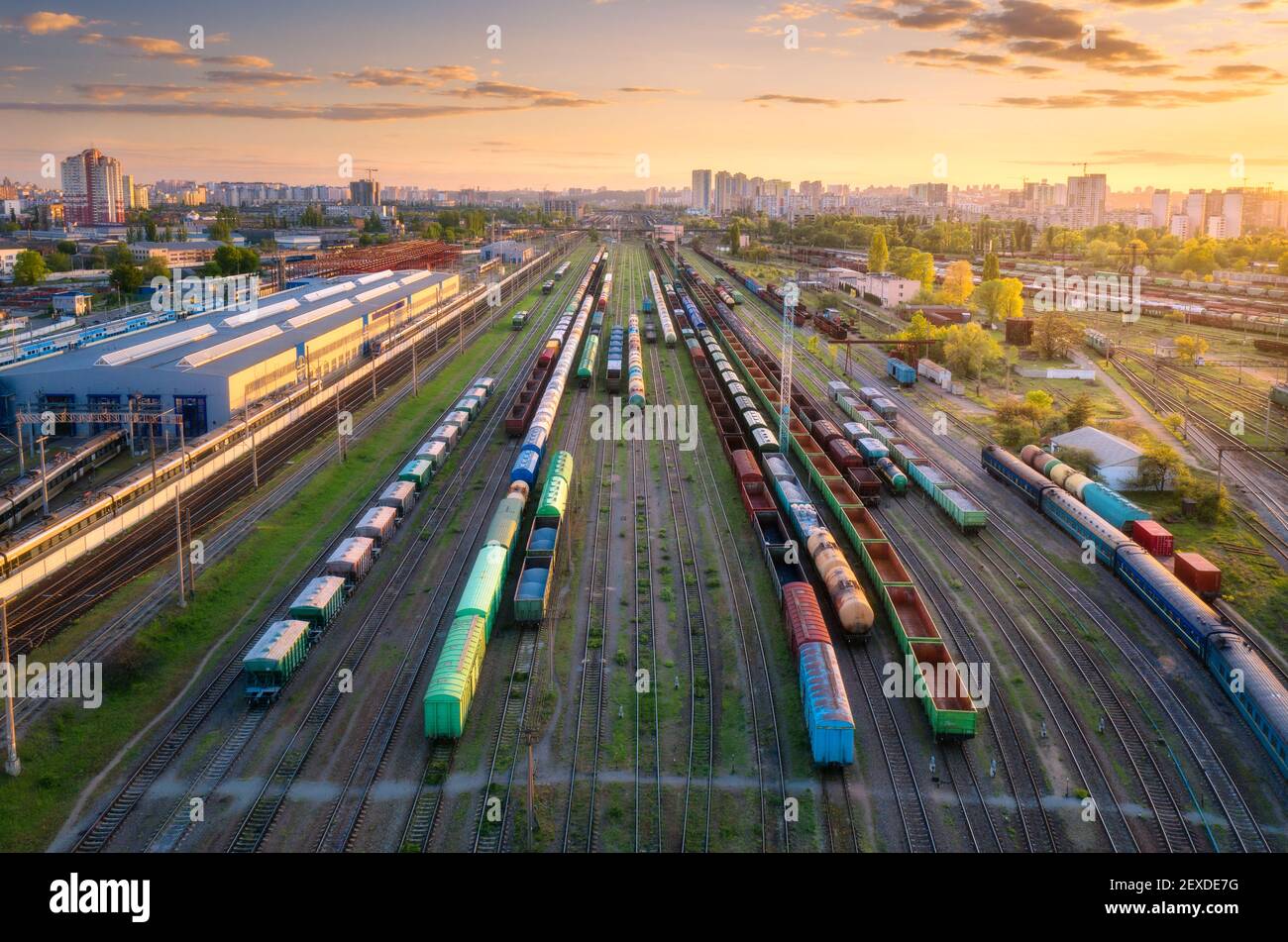 Luftaufnahme der Güterzüge. Draufsicht auf Wagen, Eisenbahn Stockfoto