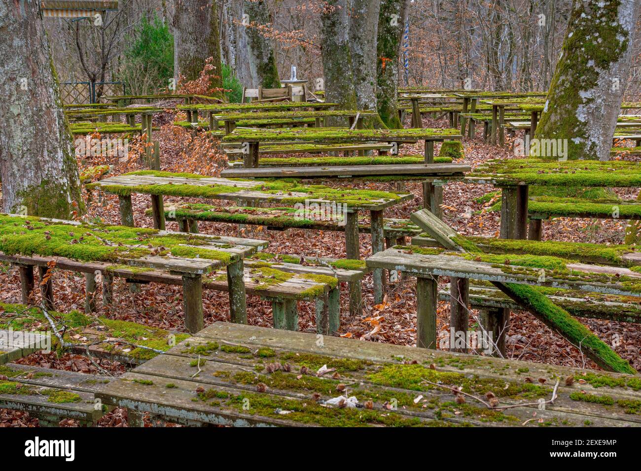 Lost Place, bewachsener Biergarten mit moosigen Sitzbereichen, Gasthof Obermühltal, Bayern, Deutschland, Europa Stockfoto