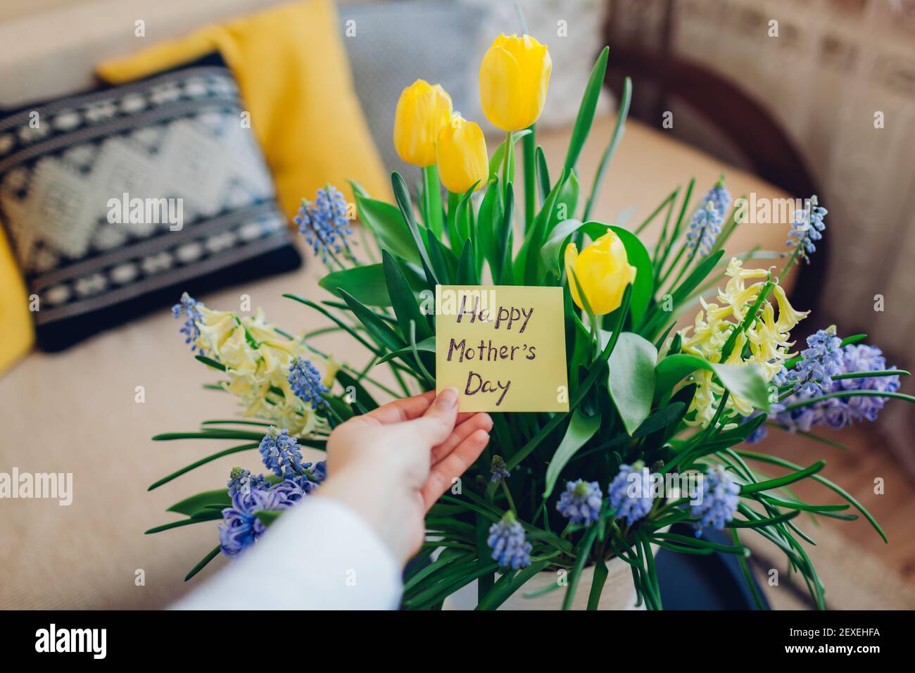Muttertag vorhanden. Frau hält Grußkarte mit blühenden Frühling gelb blauen Blumen zu Hause Stockfoto